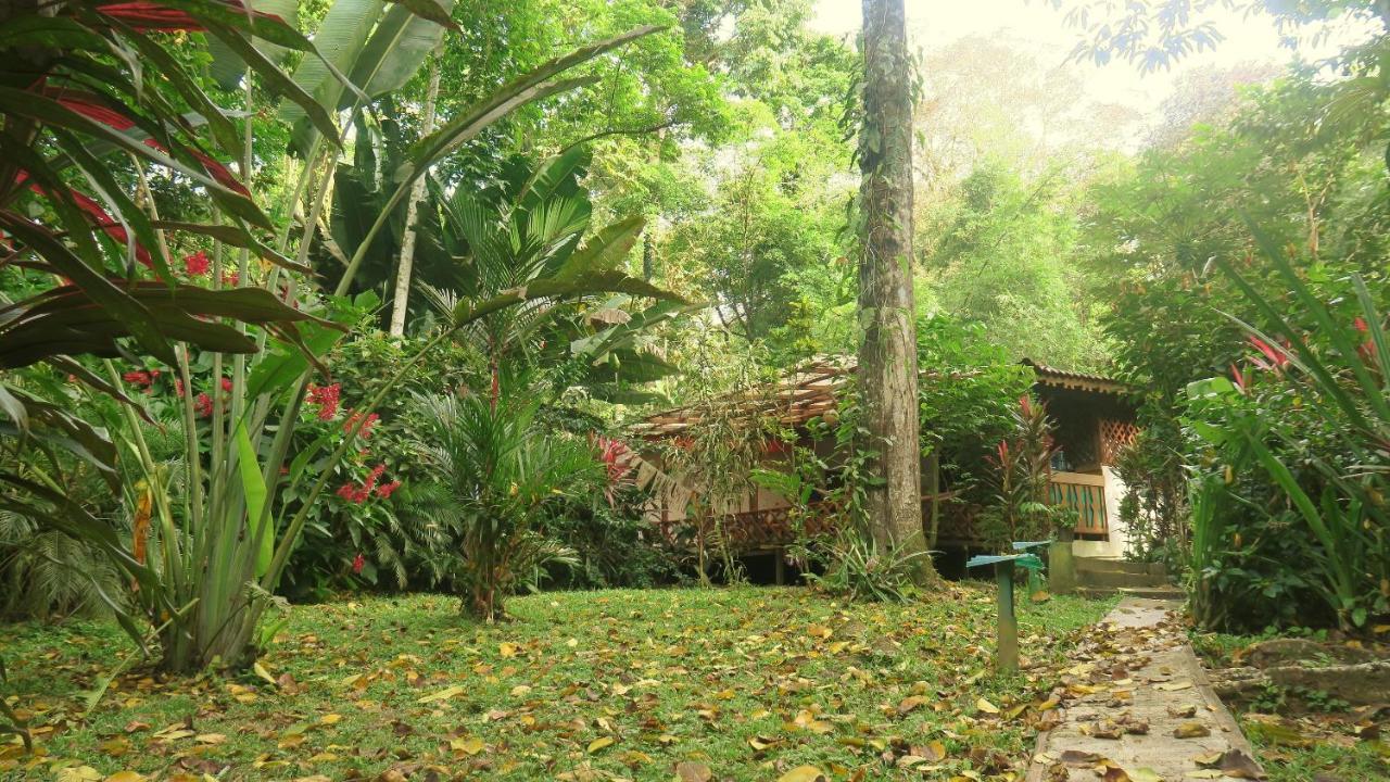 Casa Moabi Bed & Breakfast Cocles Eksteriør bilde